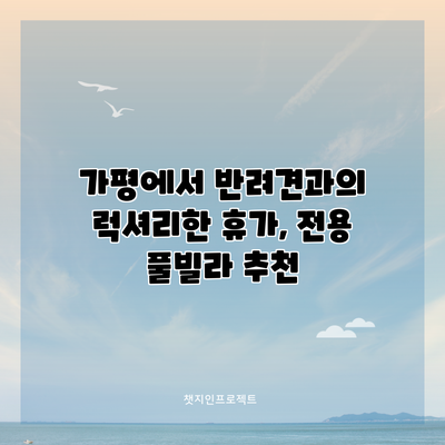 가평에서 반려견과의 럭셔리한 휴가, 전용 풀빌라 추천