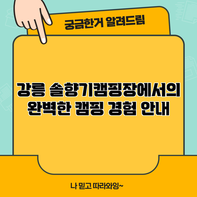 강릉 솔향기캠핑장에서의 완벽한 캠핑 경험 안내