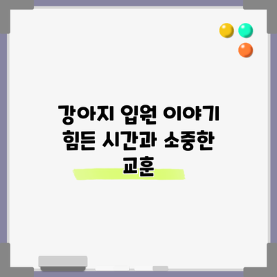 강아지 입원 이야기: 힘든 시간과 소중한 교훈