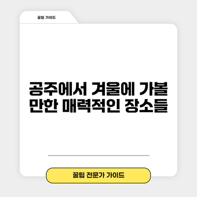 공주에서 겨울에 가볼 만한 매력적인 장소들