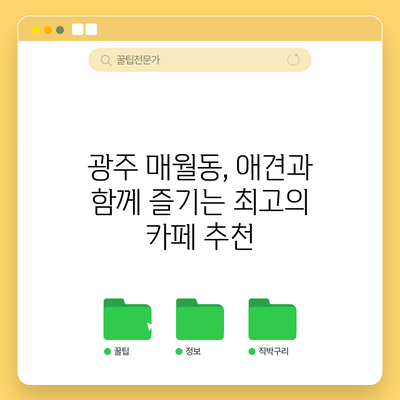광주 매월동, 애견과 함께 즐기는 최고의 카페 추천