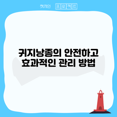 귀지낭종의 안전하고 효과적인 관리 방법
