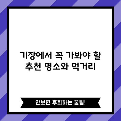 기장에서 꼭 가봐야 할 추천 명소와 먹거리