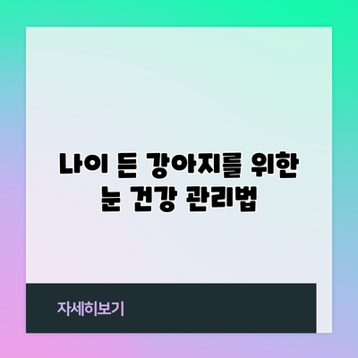 나이 든 강아지를 위한 눈 건강 관리법