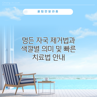 멍든 자국 제거법과 색깔별 의미 및 빠른 치료법 안내