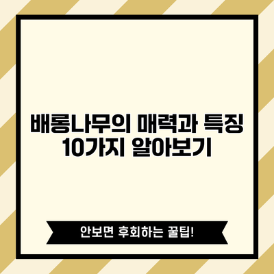배롱나무의 매력과 특징 10가지 알아보기