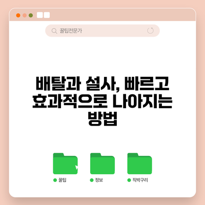 배탈과 설사, 빠르고 효과적으로 나아지는 방법