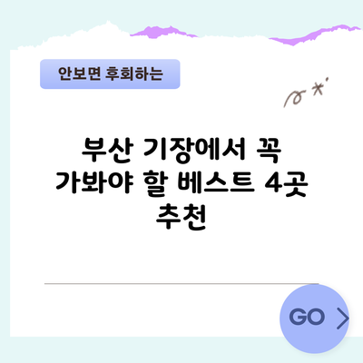 부산 기장에서 꼭 가봐야 할 베스트 4곳 추천