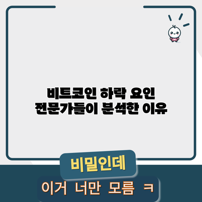 비트코인 하락 요인 전문가들이 분석한 이유