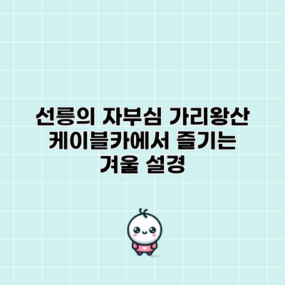 선릉의 자부심 가리왕산 케이블카에서 즐기는 겨울 설경