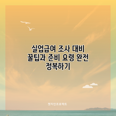 실업급여 조사 대비 꿀팁과 준비 요령 완전 정복하기