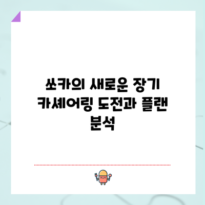 쏘카의 새로운 장기 카셰어링 도전과 플랜 분석