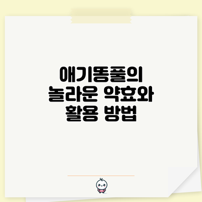애기똥풀의 놀라운 약효와 활용 방법