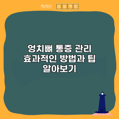 엉치뼈 통증 관리: 효과적인 방법과 팁 알아보기