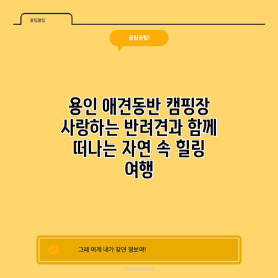용인 애견동반 캠핑장: 사랑하는 반려견과 함께 떠나는 자연 속 힐링 여행