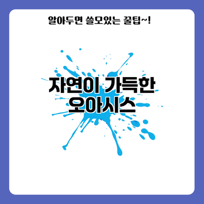 자연이 가득한 오아시스