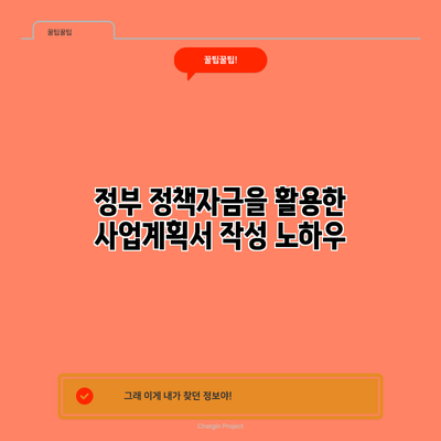 정부 정책자금을 활용한 사업계획서 작성 노하우