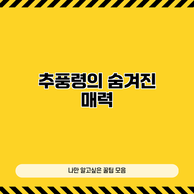 추풍령의 숨겨진 매력