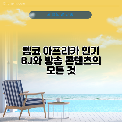 펨코 아프리카 인기 BJ와 방송 콘텐츠의 모든 것