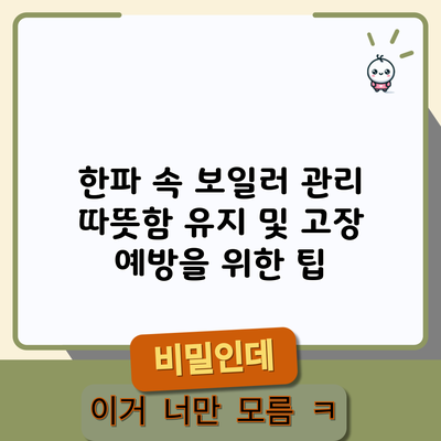 한파 속 보일러 관리: 따뜻함 유지 및 고장 예방을 위한 팁