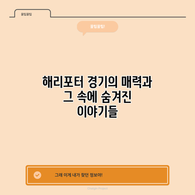 해리포터 경기의 매력과 그 속에 숨겨진 이야기들