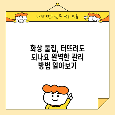 화상 물집, 터뜨려도 되나요? 완벽한 관리 방법 알아보기