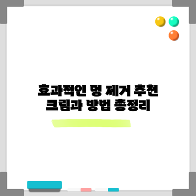 효과적인 멍 제거: 추천 크림과 방법 총정리
