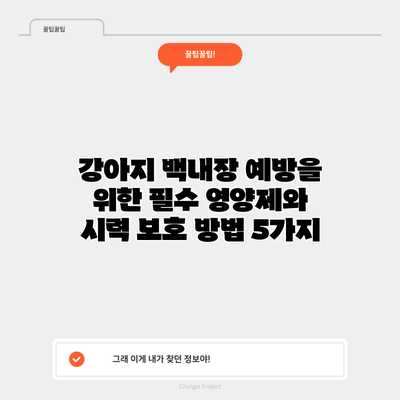 강아지 백내장 예방을 위한 필수 영양제와 시력 보호 방법 5가지