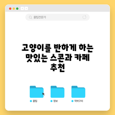 고양이를 반하게 하는 맛있는 스콘과 카페 추천