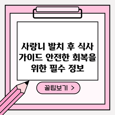 사랑니 발치 후 식사 가이드: 안전한 회복을 위한 필수 정보