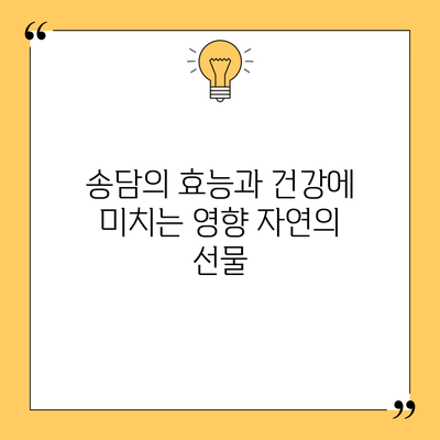 송담의 효능과 건강에 미치는 영향: 자연의 선물