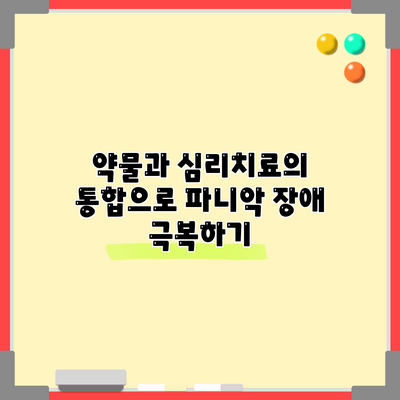 **약물과 심리치료의 통합으로 파니악 장애 극복하기**