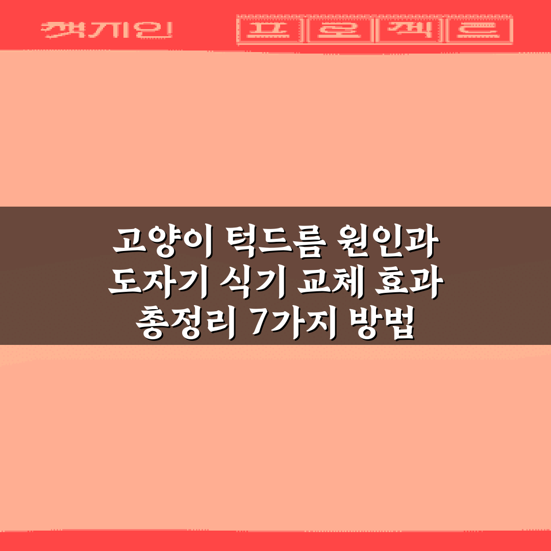 고양이 턱드름 원인과 도자기 식기 교체 효과 총정리 7가지 방법