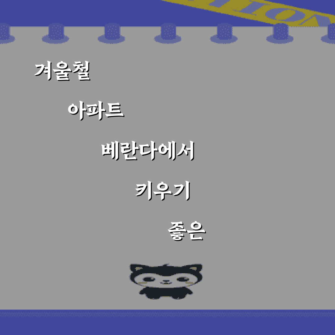 겨울철 아파트 베란다에서 키우기 좋은 실내 꽃 7가지 총정리