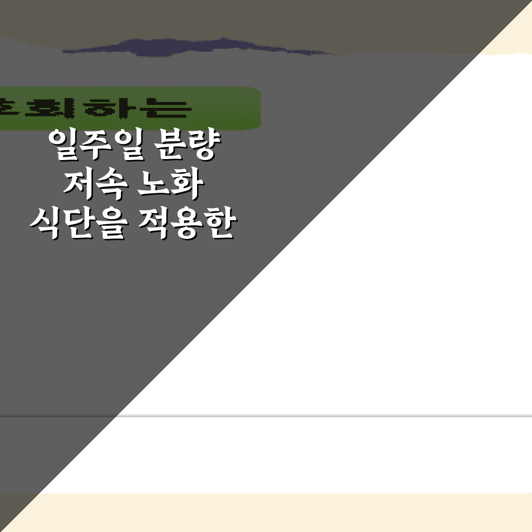 일주일 분량 저속 노화 식단을 적용한 지중해식 도시락 레시피 총정리