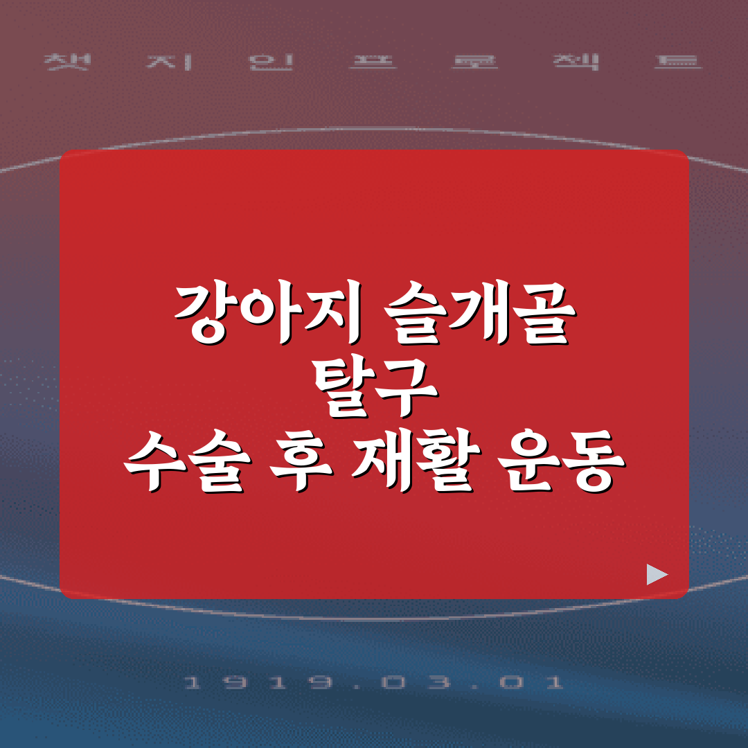 강아지 슬개골 탈구 수술 후 재활 운동 및 관리 가이드 7가지 팁