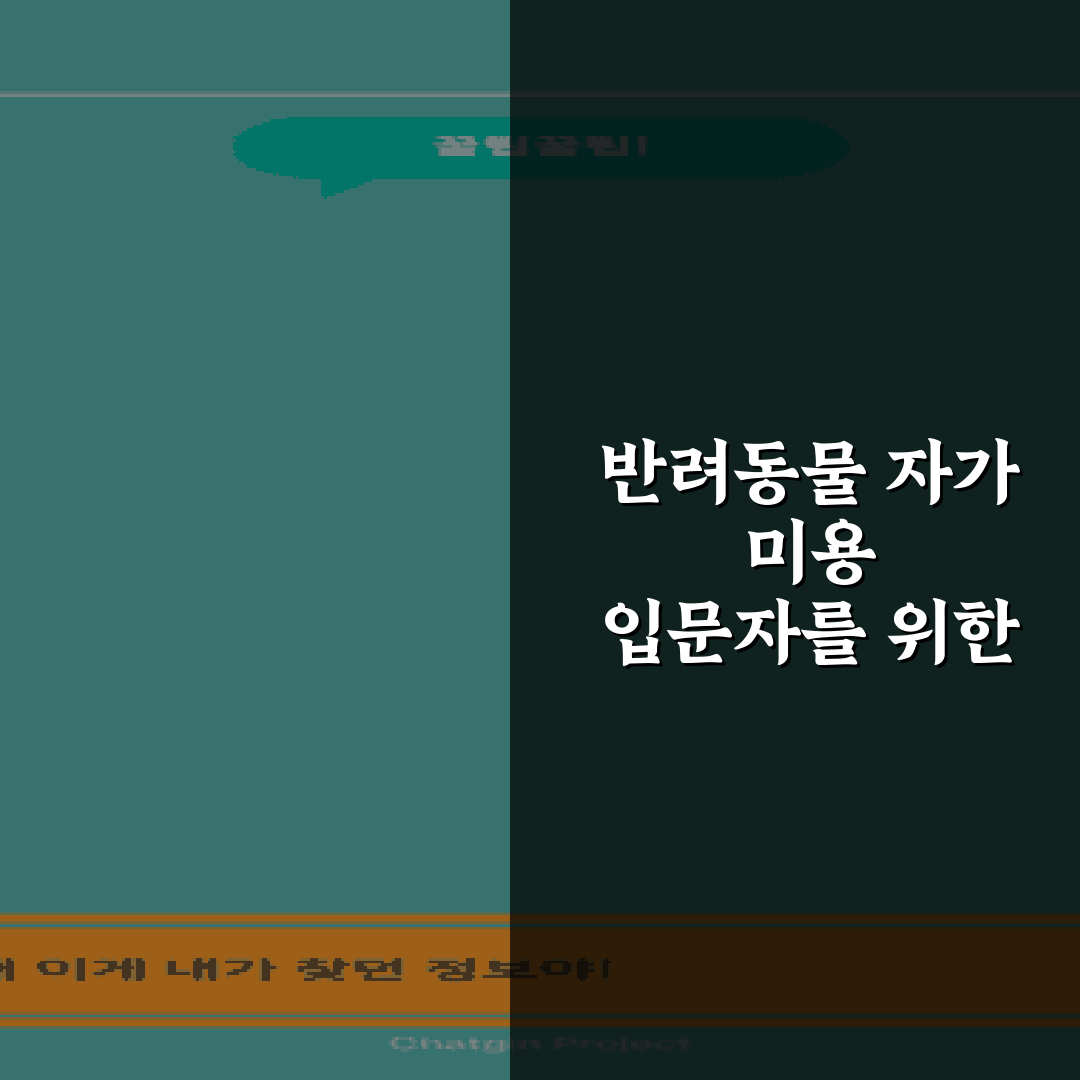 반려동물 자가 미용 입문자를 위한 클리퍼 추천 7가지 가이드