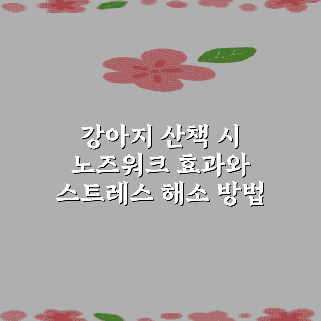 강아지 산책 시 노즈워크 효과와 스트레스 해소 방법 5가지 총정리