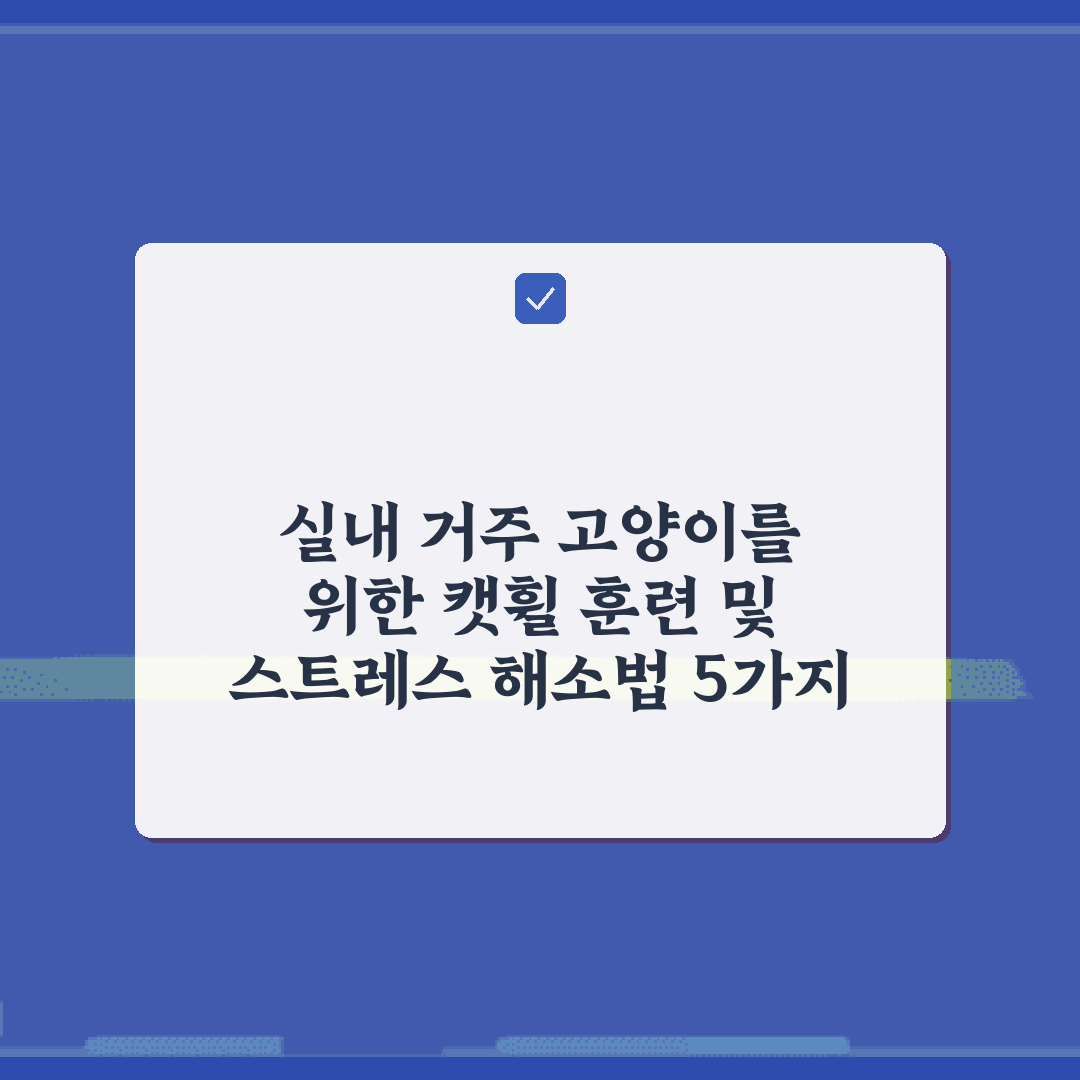 실내 거주 고양이를 위한 캣휠 훈련 및 스트레스 해소법 5가지 비법