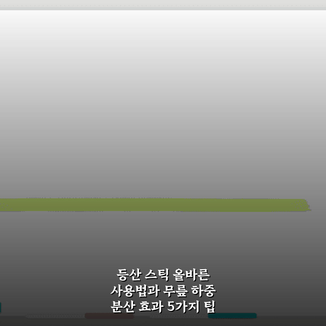 등산 스틱 올바른 사용법과 무릎 하중 분산 효과 5가지 팁