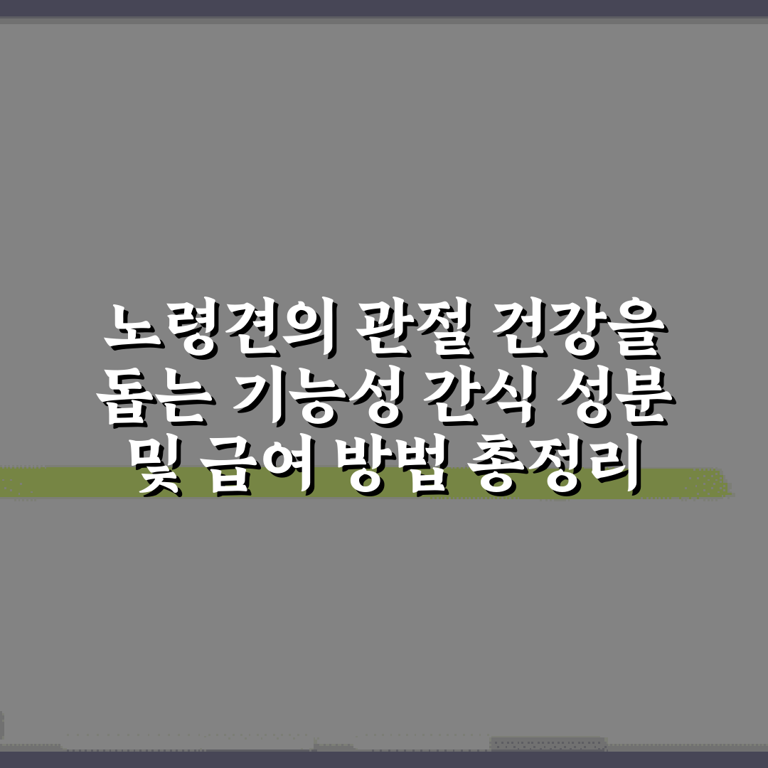 노령견의 관절 건강을 돕는 기능성 간식 성분 및 급여 방법 총정리