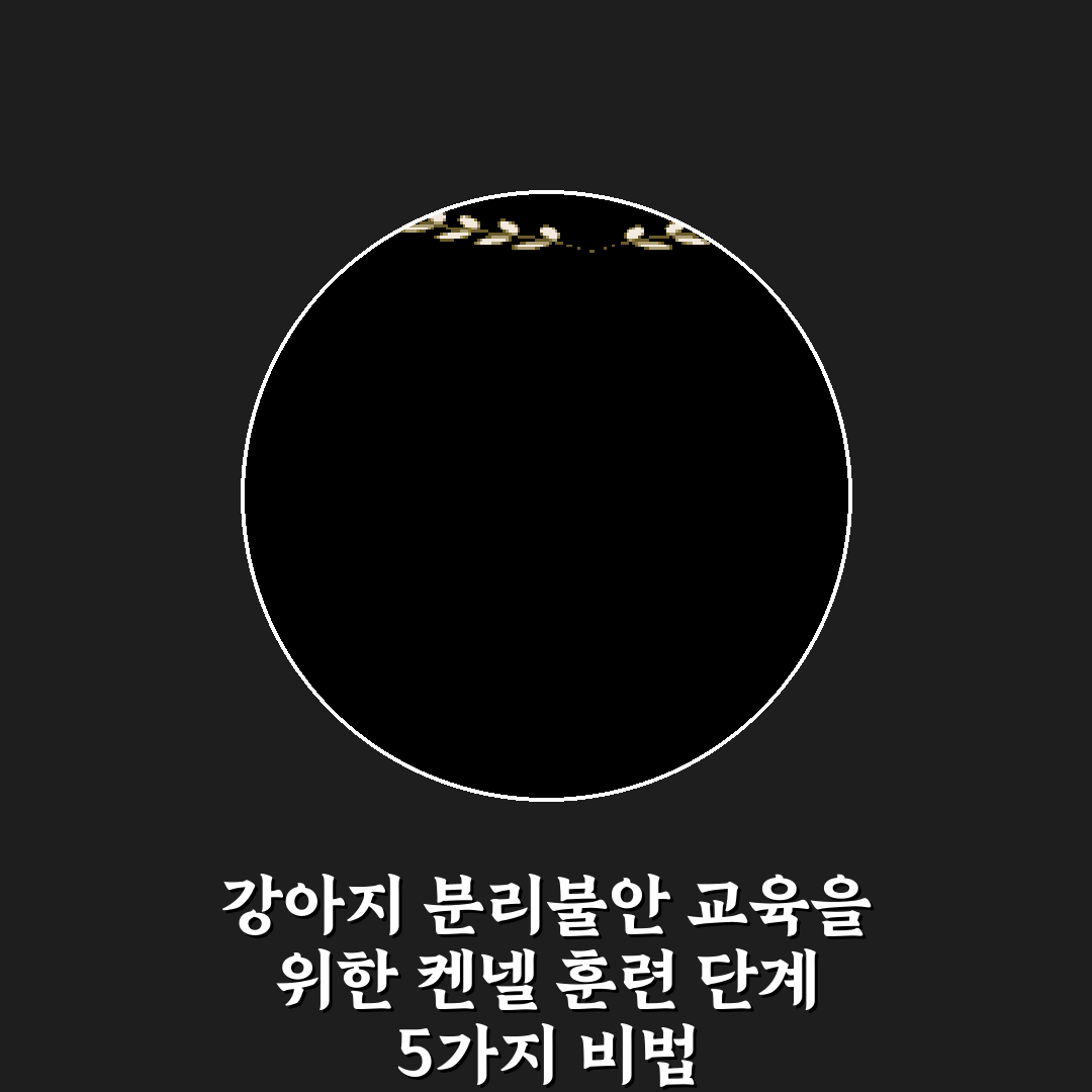 강아지 분리불안 교육을 위한 켄넬 훈련 단계 5가지 비법