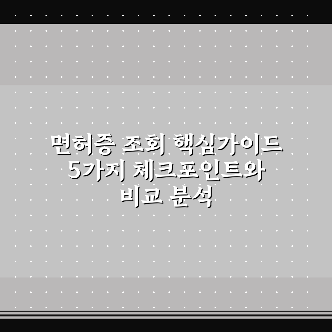 면허증 조회 핵심가이드 5가지 체크포인트와 비교 분석