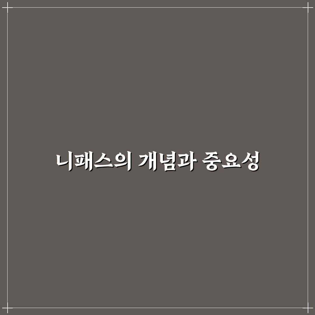 ㅇ니패스 사용법과 꿀팁 쉽게 알려드려요