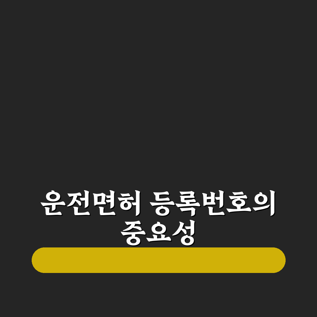 운전면허 등록번호 조회 쉬운 방법과 꿀팁 정리