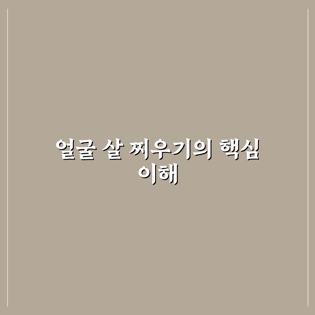 얼굴 살 찌우는 법 알아두면 좋은 꿀팁 정리