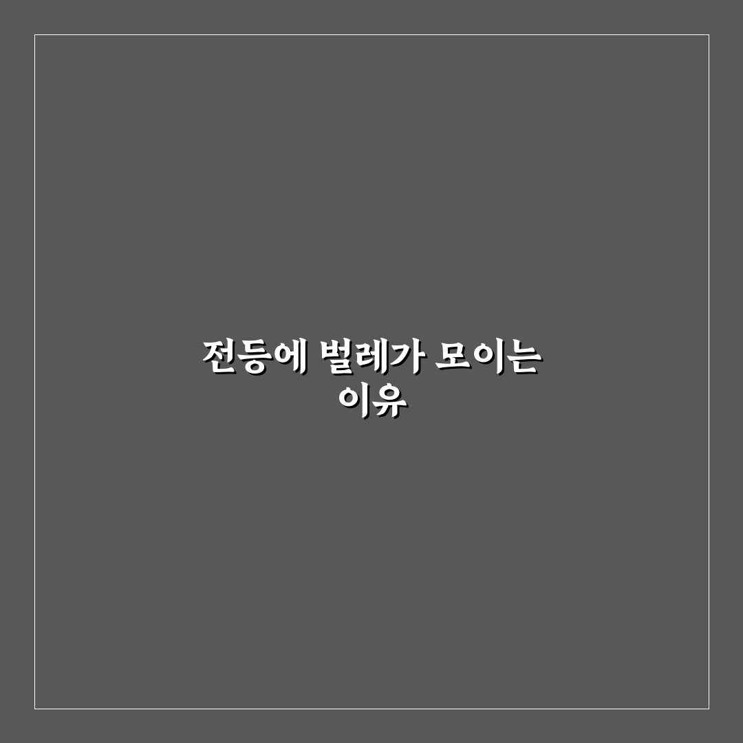 전등에 벌레 생기는 원인과 해결 꿀팁 알려드려요