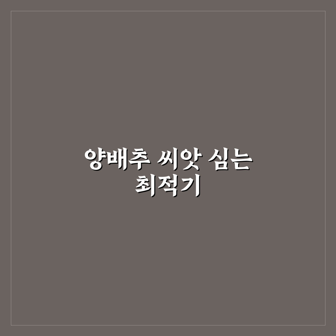 양배추 파종시기와 방법 쉽게 알려드려요