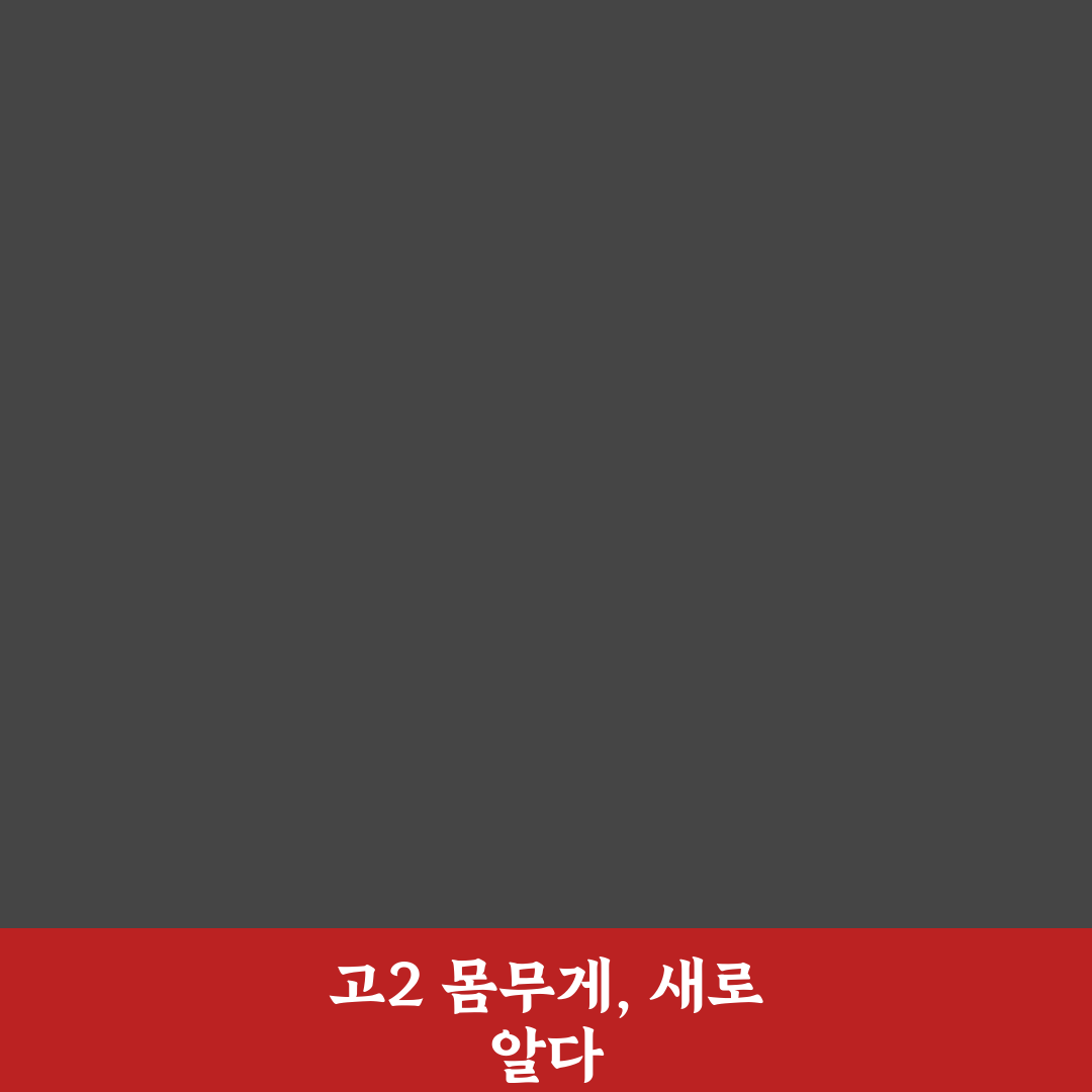고2 평균 몸무게 직접 알아보니 실제 수치와 차이점