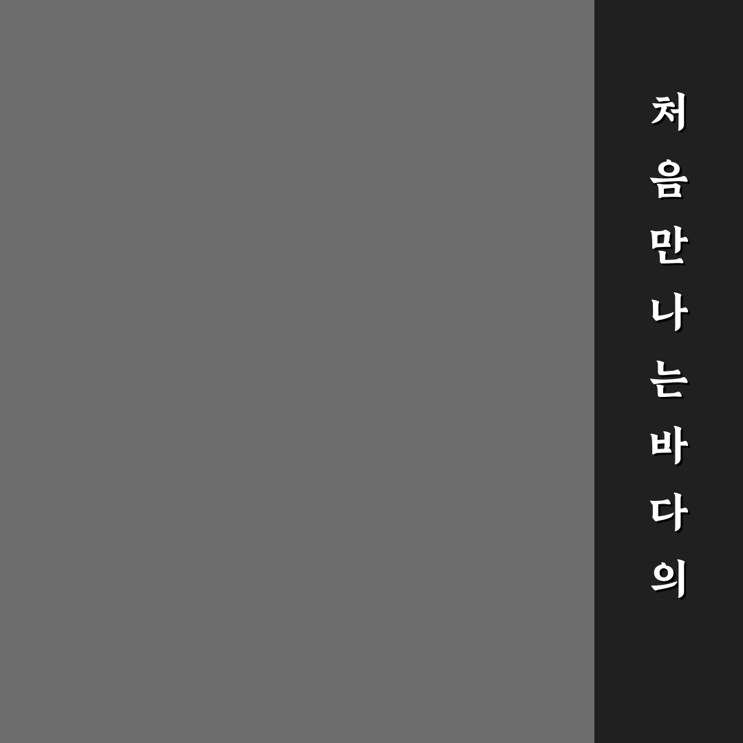 우체국 선박 택배 요금 직접 알아보니 비용과 시간은?